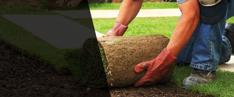 East Hartford Landscapers